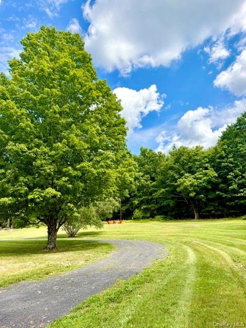 Single Family Highland Avenue  Ulster County, NY 12446, MLS-1025586-38
