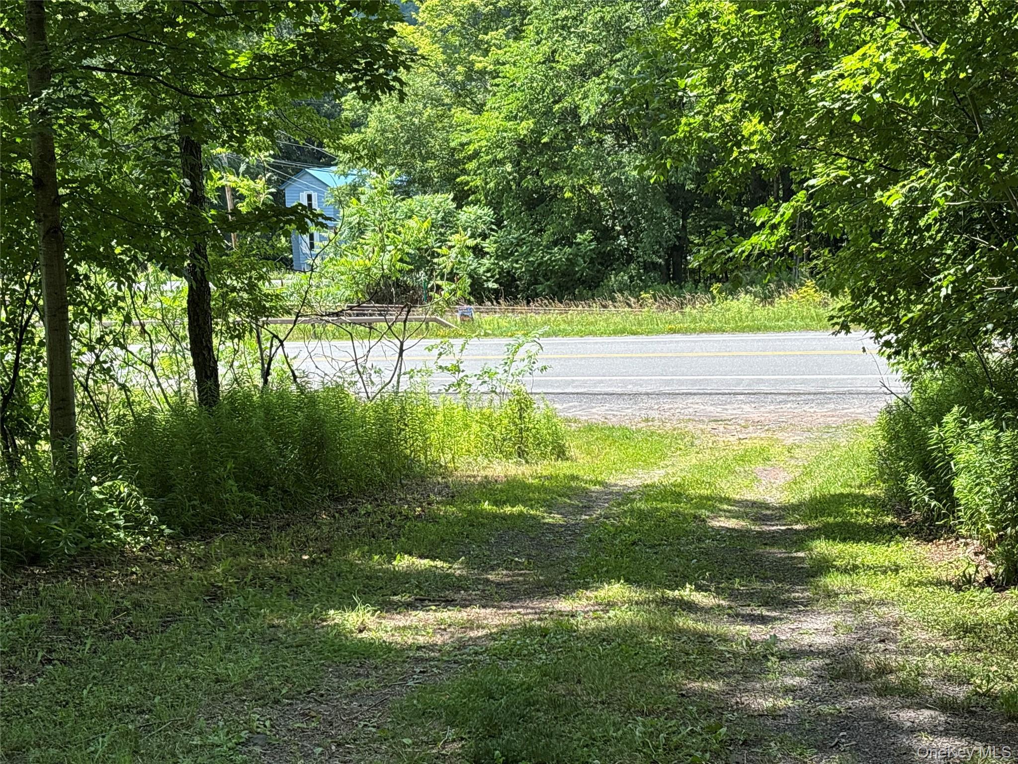 Single Family Batavia Heights Circle Road Delaware County, NY 12455, MLS-1025604-45