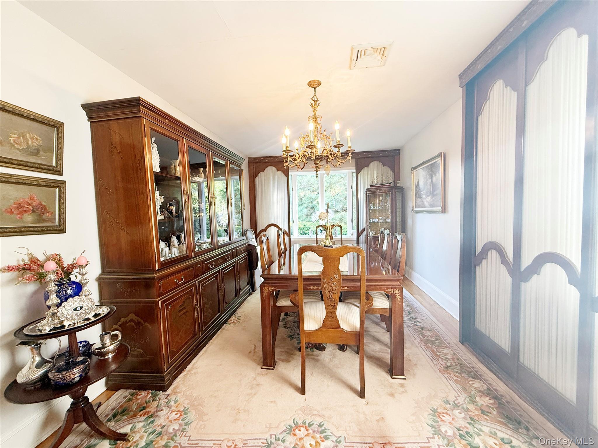 Single Family E Chester Street Nassau County, NY 11580, MLS-1025631-10