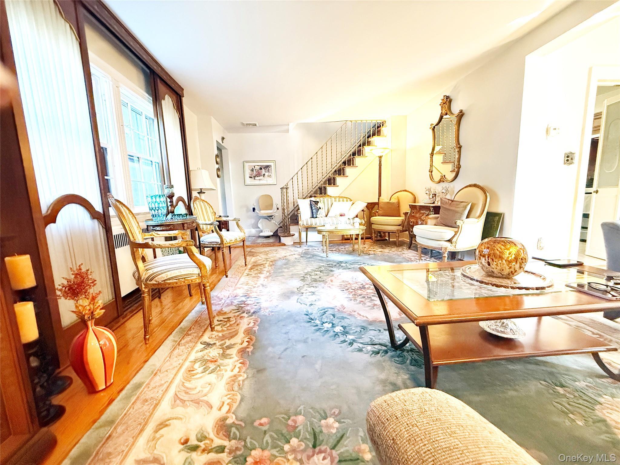Single Family E Chester Street Nassau County, NY 11580, MLS-1025631-13