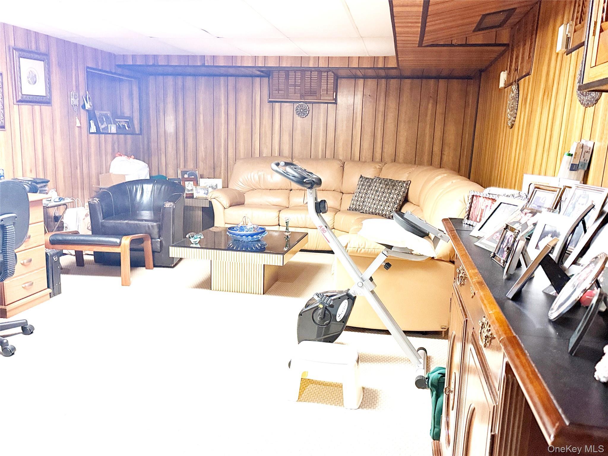 Single Family E Chester Street Nassau County, NY 11580, MLS-1025631-16