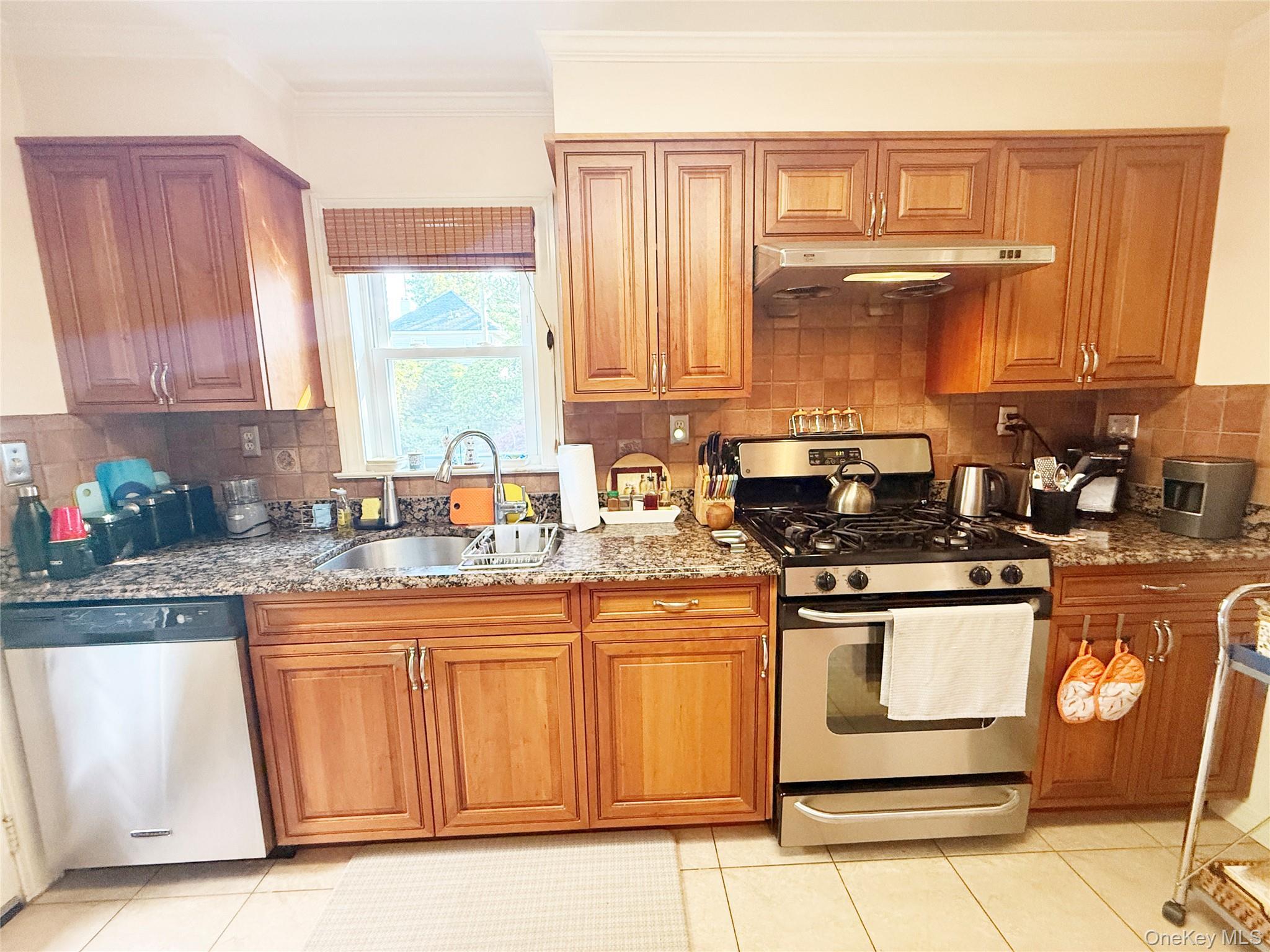 Single Family E Chester Street Nassau County, NY 11580, MLS-1025631-6