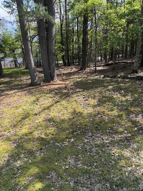 Single Family Samsonville Road  Ulster County, NY 12446, MLS-1025692-2