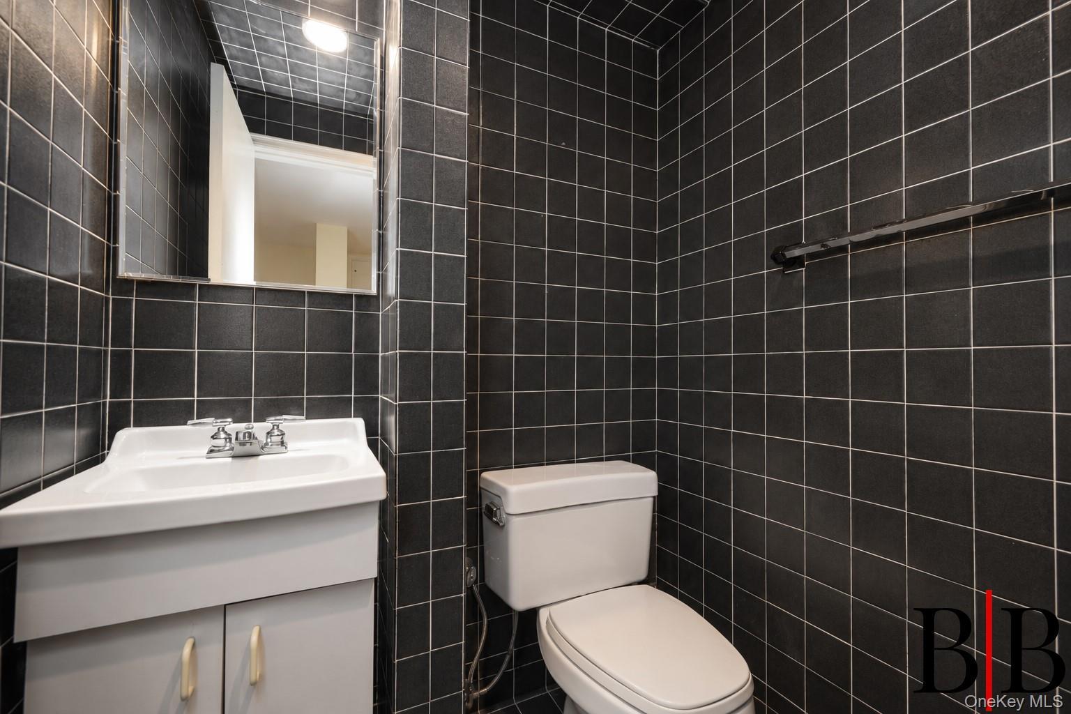 Single Family National Drive Brooklyn, NY 11234, MLS-1025769-13