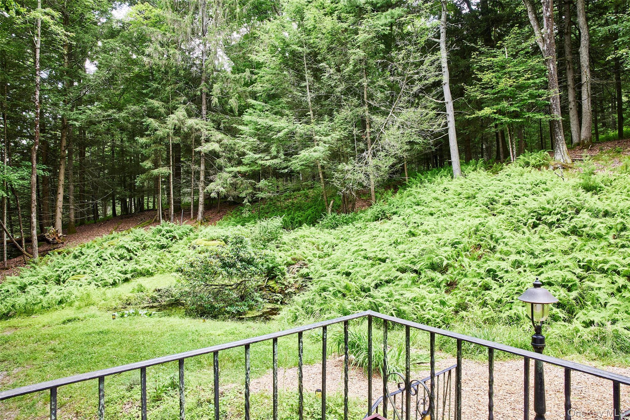 Single Family Black Forest Road Sullivan County, NY 12737, MLS-1025791-21