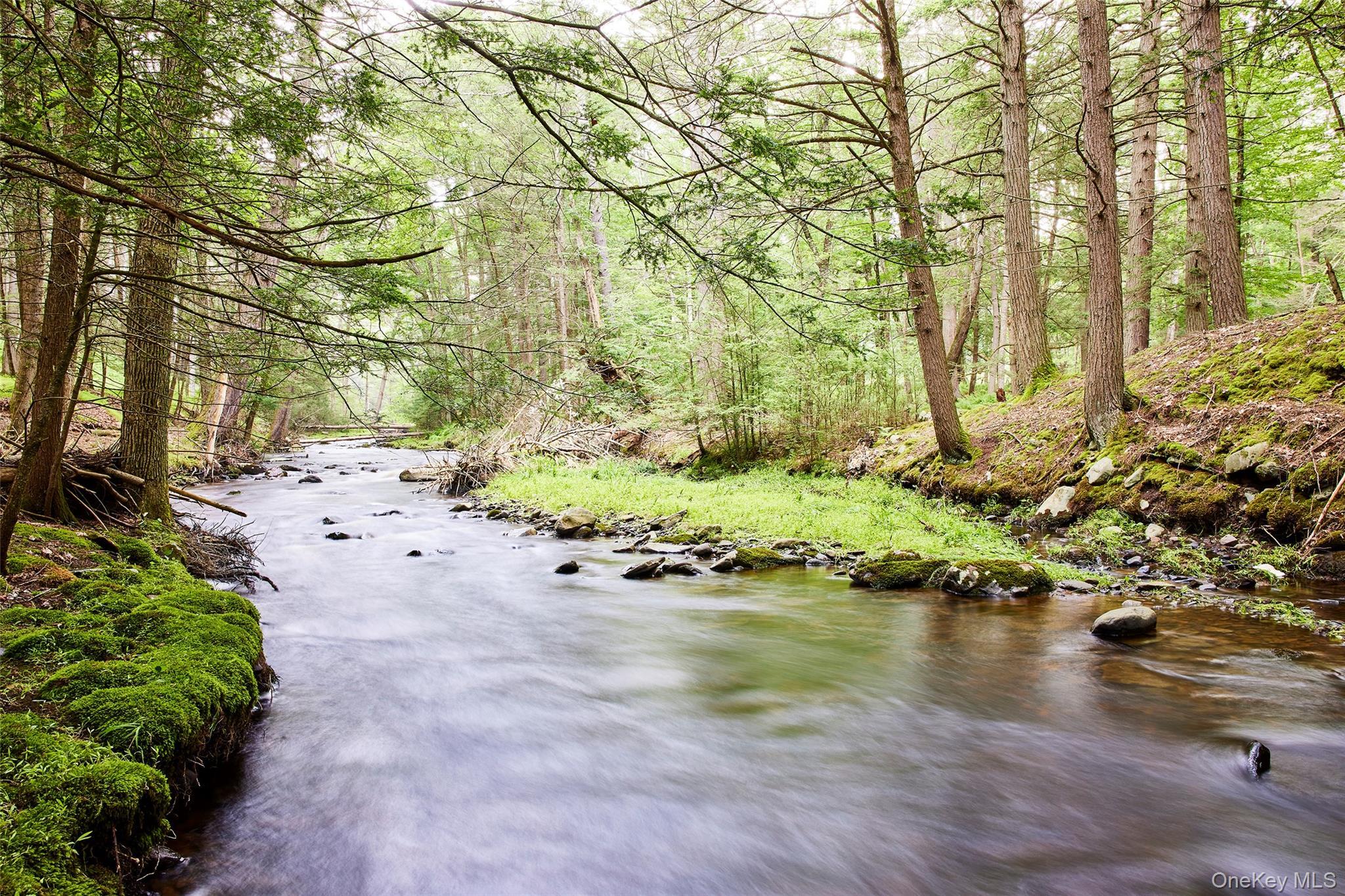 Single Family Black Forest Road Sullivan County, NY 12737, MLS-1025791-23