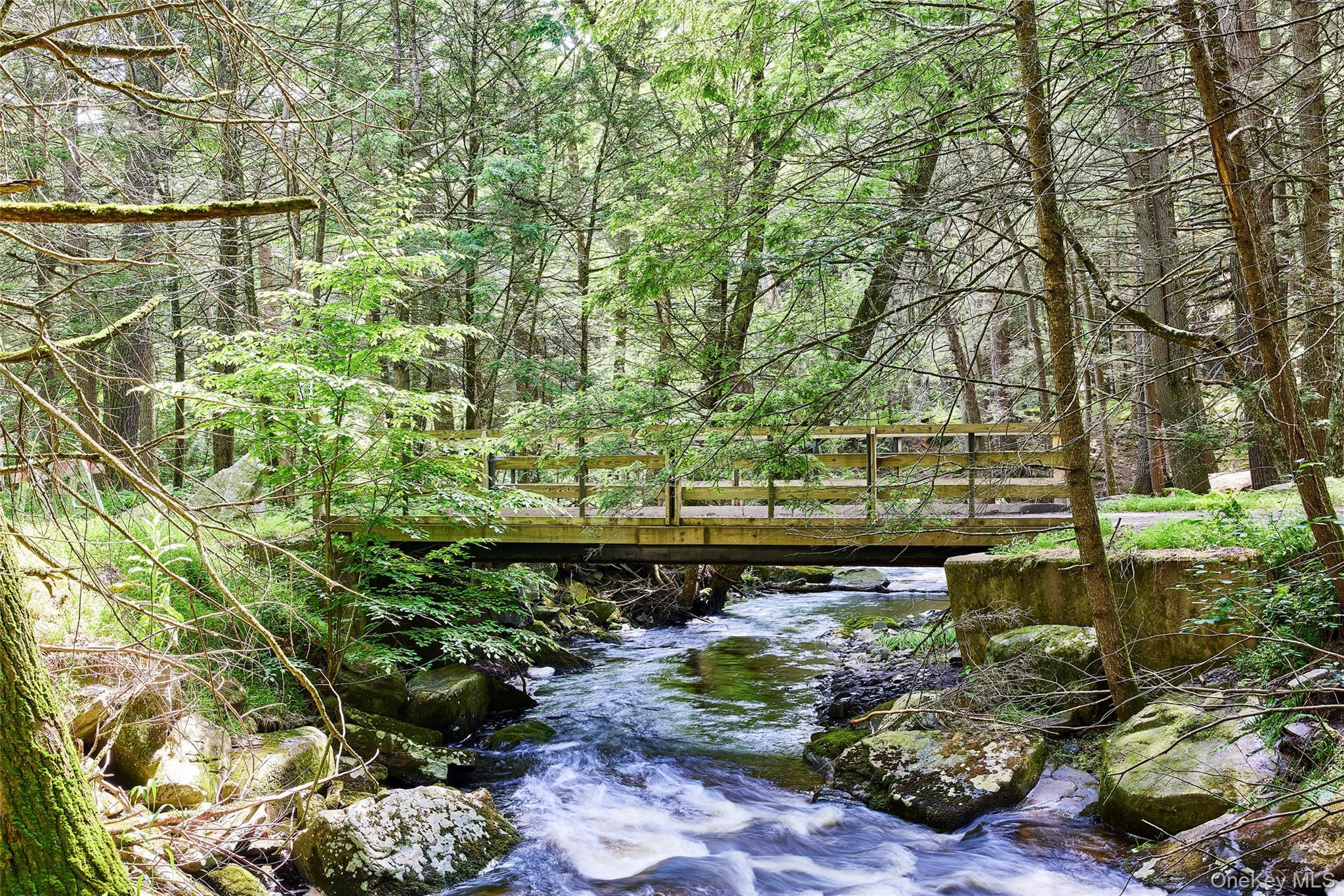 Single Family Black Forest Road Sullivan County, NY 12737, MLS-1025791-24