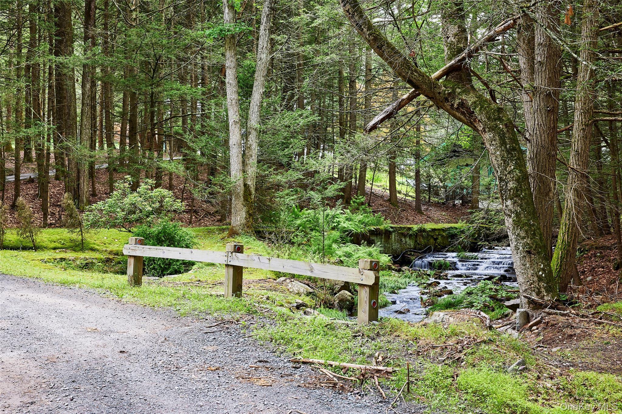 Single Family Black Forest Road Sullivan County, NY 12737, MLS-1025791-25