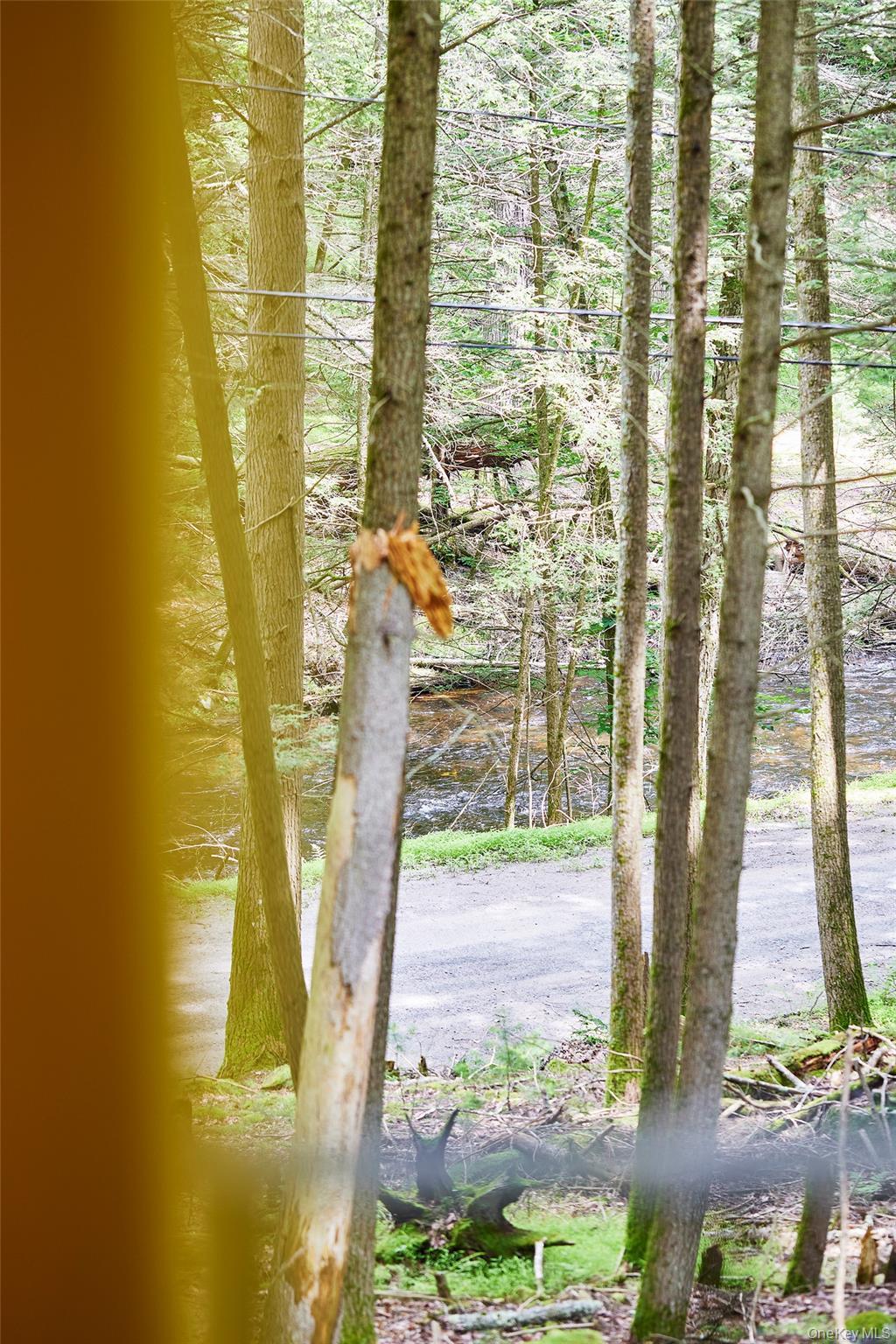 Single Family Black Forest Road Sullivan County, NY 12737, MLS-1025791-6