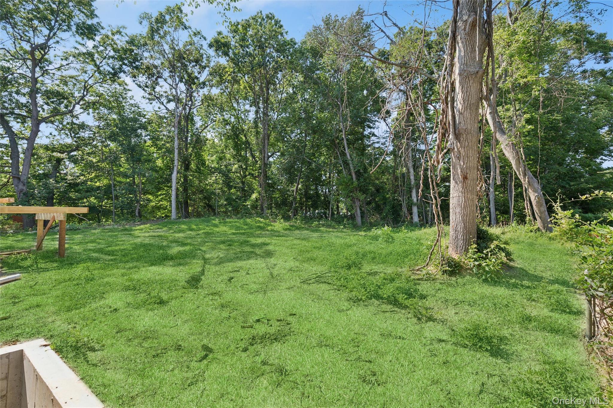 Single Family Cedar Lane Suffolk County, NY 11763, MLS-1025797-3
