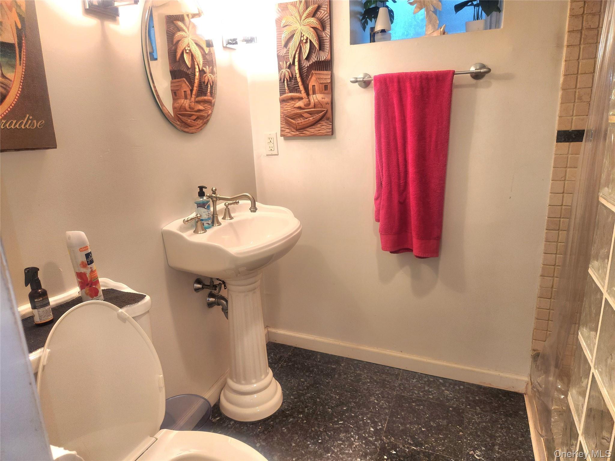 Single Family Rumsey Road  Westchester County, NY 10705, MLS-1025815-24