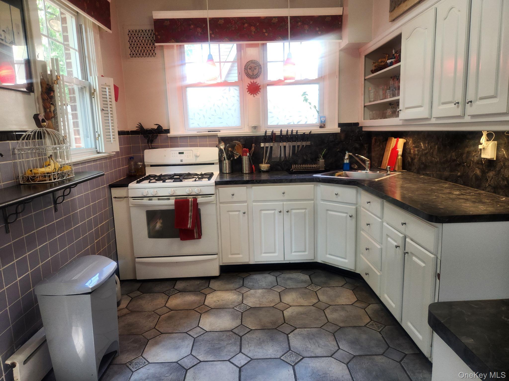 Single Family Rumsey Road  Westchester County, NY 10705, MLS-1025815-8
