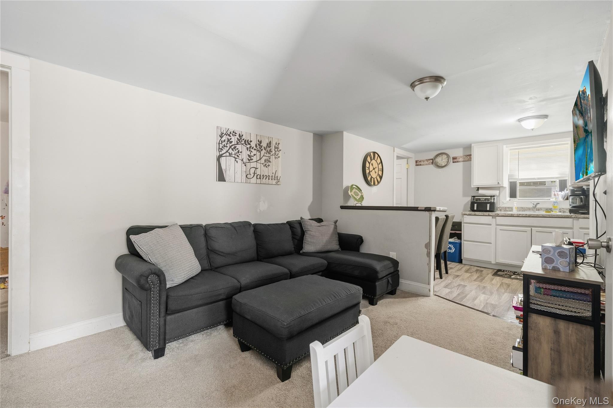 Single Family State Route 94 Orange County, NY 12577, MLS-1025818-24