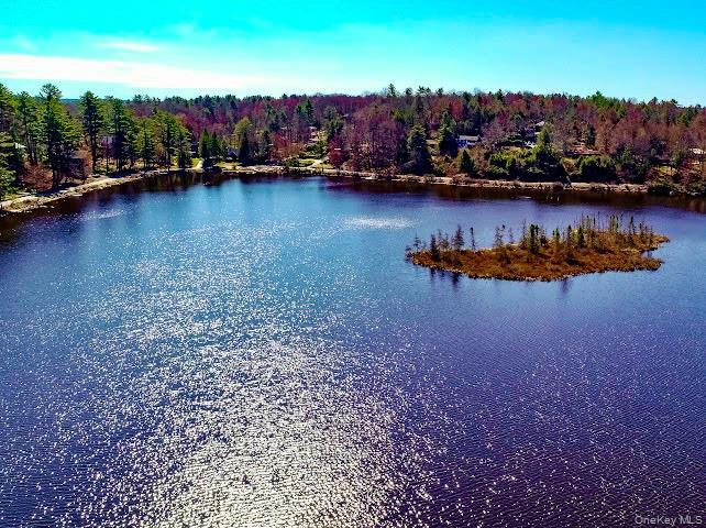 Single Family Liberty Place N Sullivan County, NY 12778, MLS-1025829-35