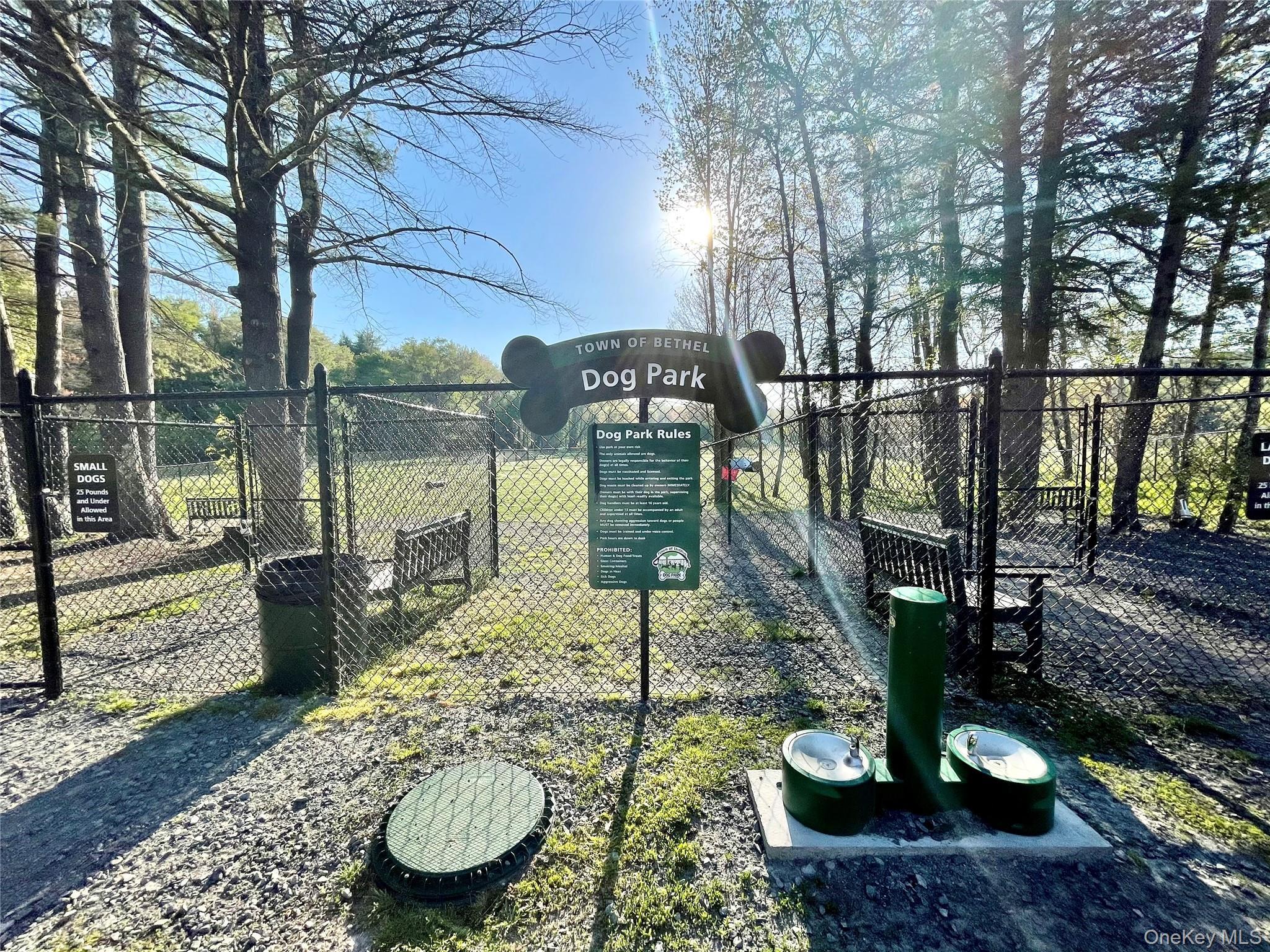 Single Family Liberty Place N Sullivan County, NY 12778, MLS-1025829-45