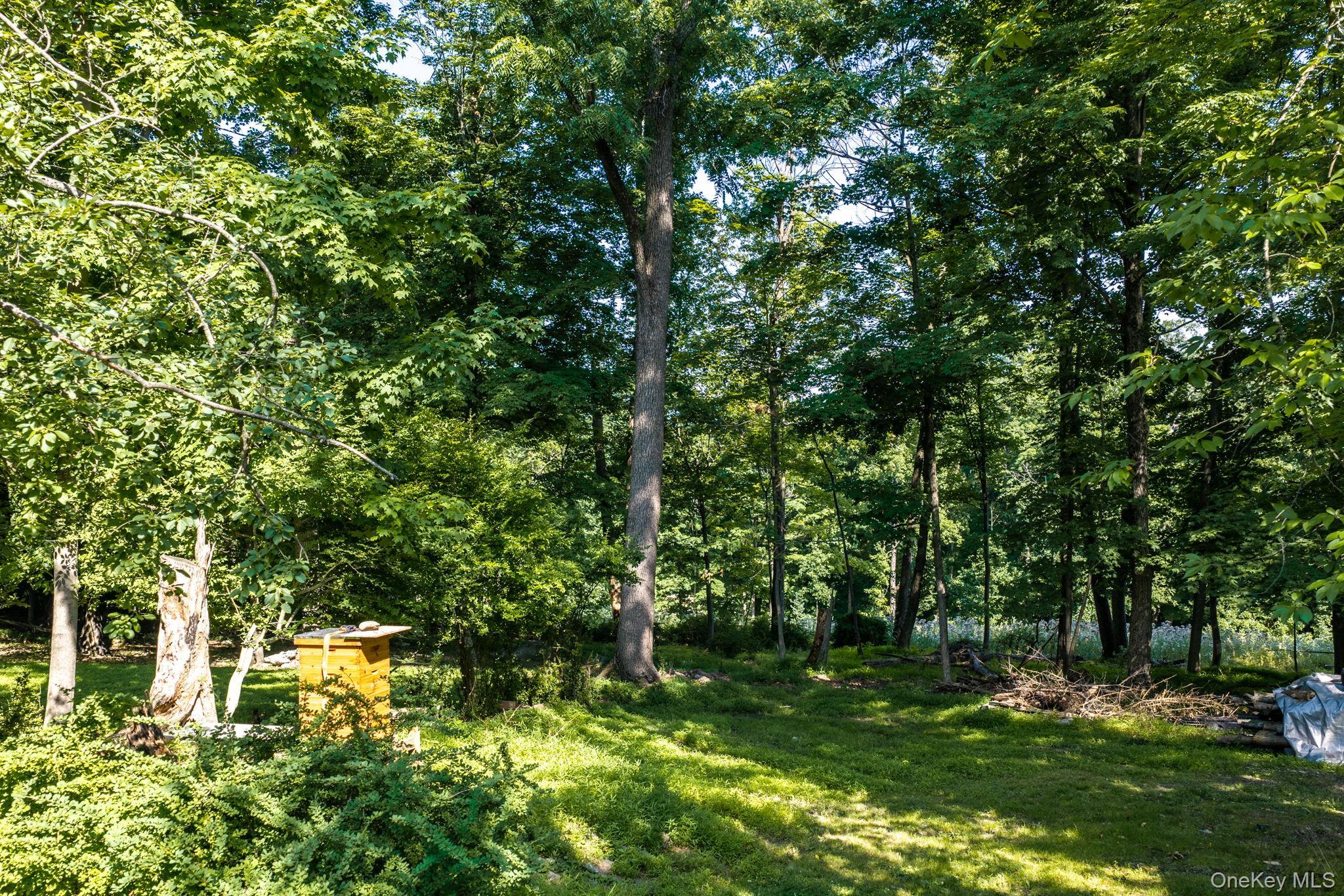 Single Family Mountain Avenue Orange County, NY 10940, MLS-1025851-48