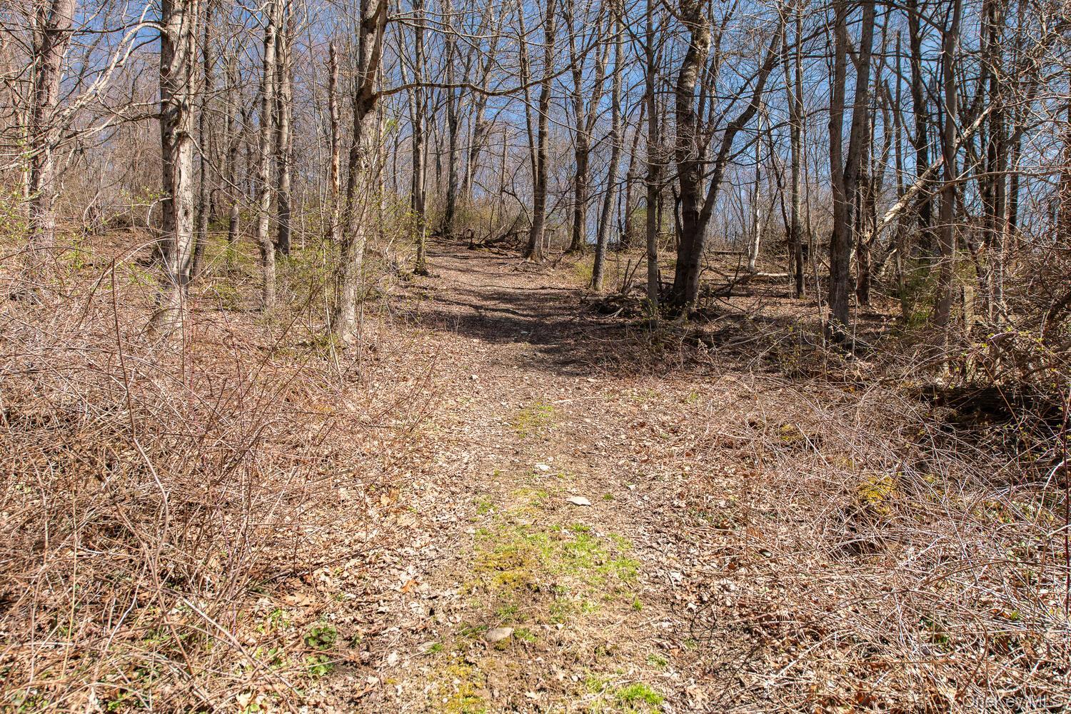 Single Family Smith Road  Dutchess County, NY 12538, MLS-1025929-39