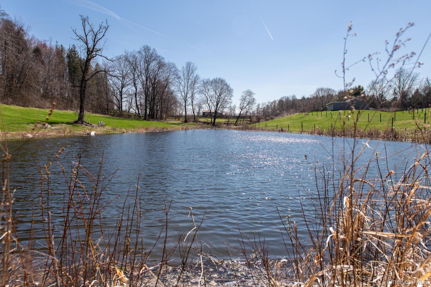 Single Family Smith Road  Dutchess County, NY 12538, MLS-1025929-42