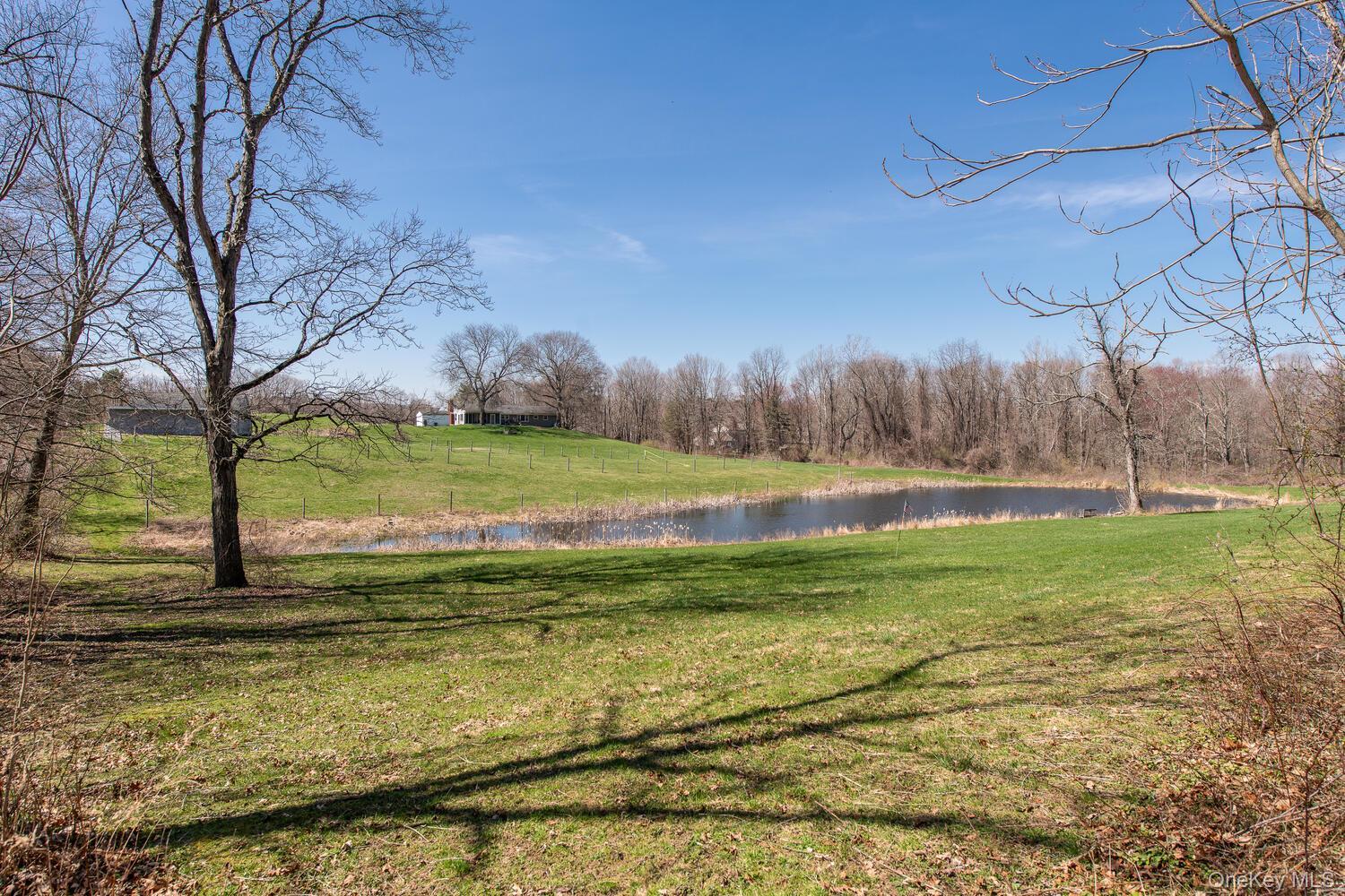 Single Family Smith Road  Dutchess County, NY 12538, MLS-1025929-45