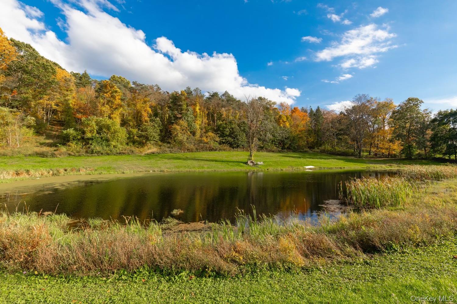 Single Family Smith Road  Dutchess County, NY 12538, MLS-1025929-48