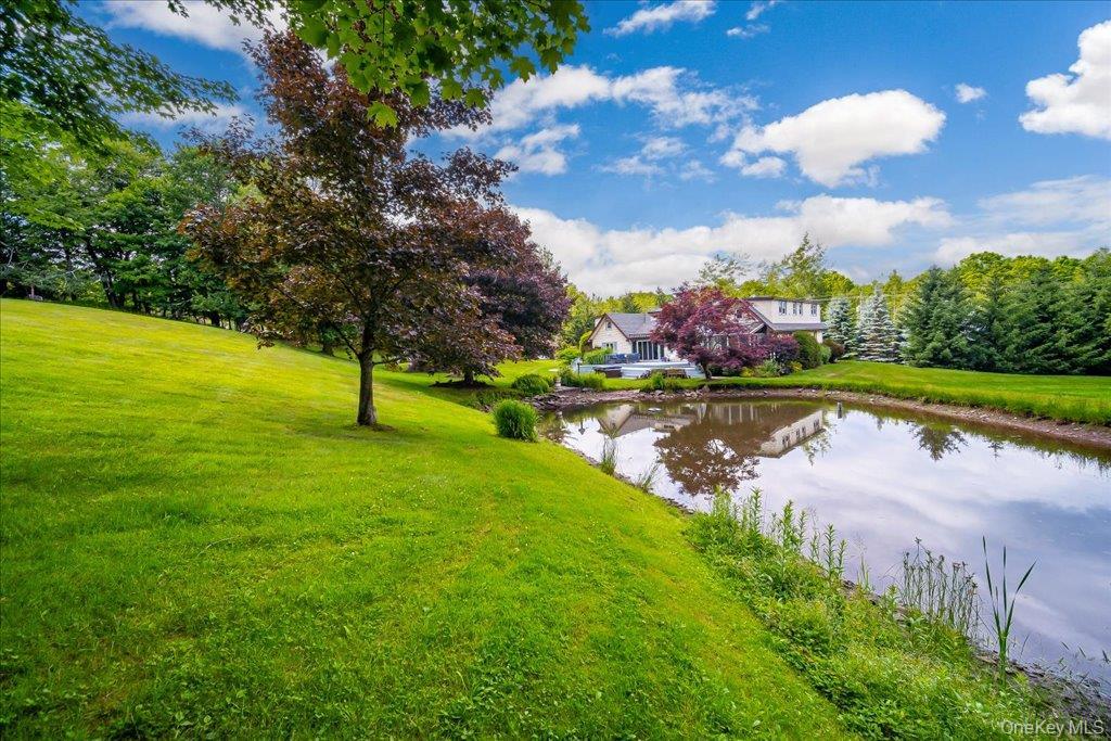Single Family State Route 55 Sullivan County, NY 12765, MLS-1025939-45