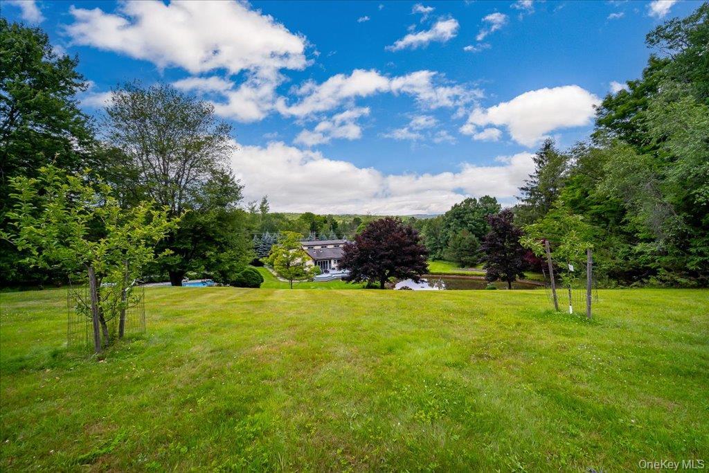 Single Family State Route 55 Sullivan County, NY 12765, MLS-1025939-47