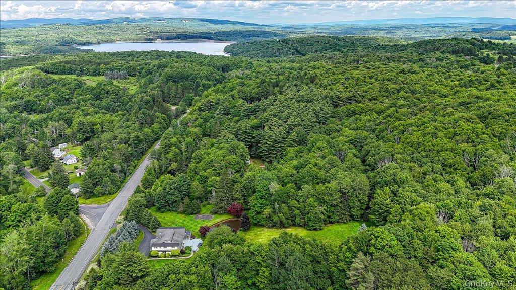 Single Family State Route 55 Sullivan County, NY 12765, MLS-1025939-48