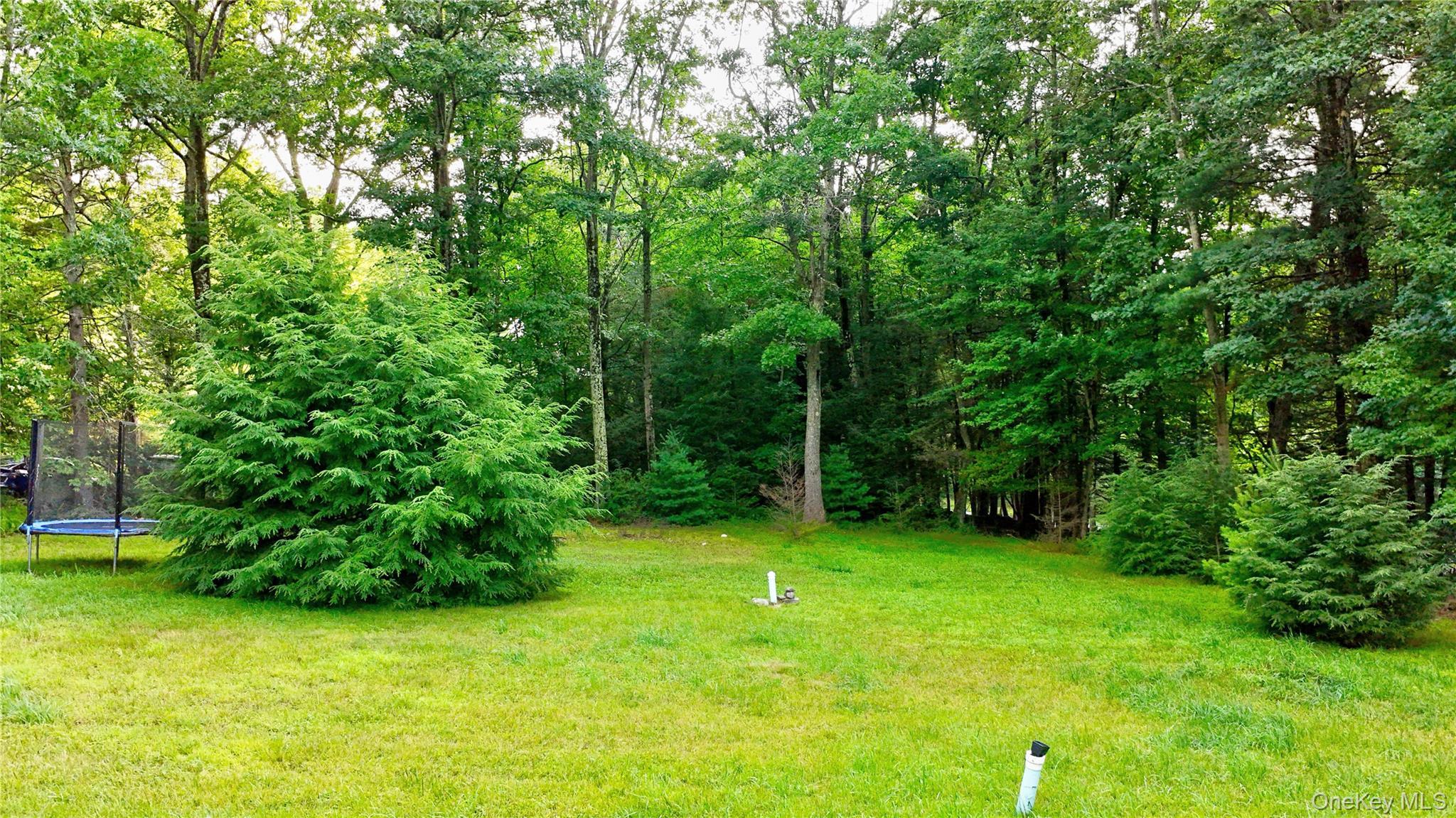 Single Family Dunn Town Road Sullivan County, NY 12790, MLS-1025969-29