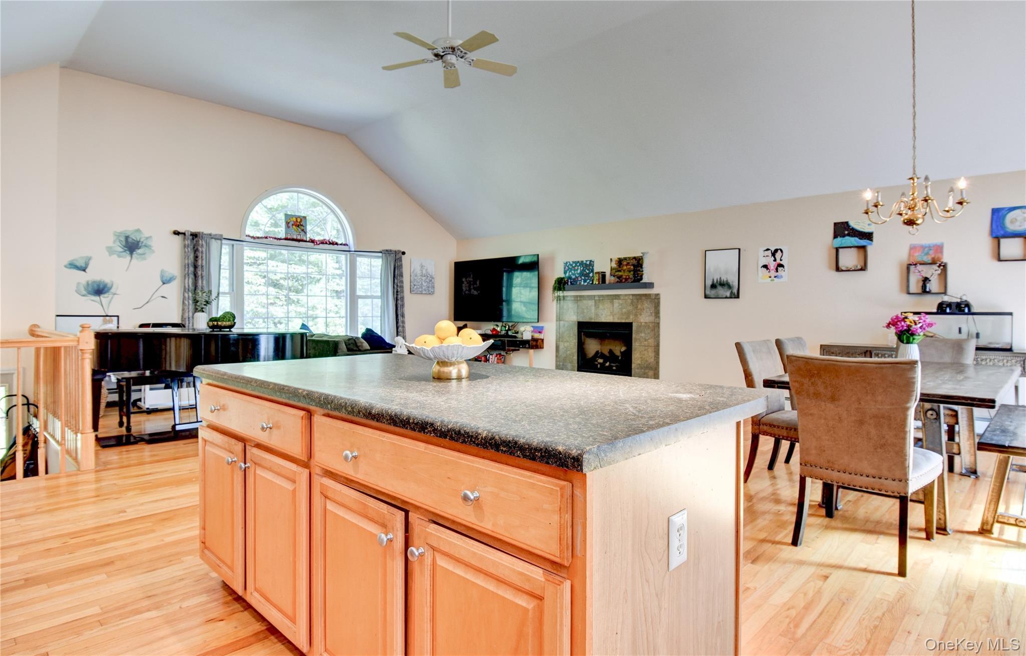 Single Family Dunn Town Road Sullivan County, NY 12790, MLS-1025969-8