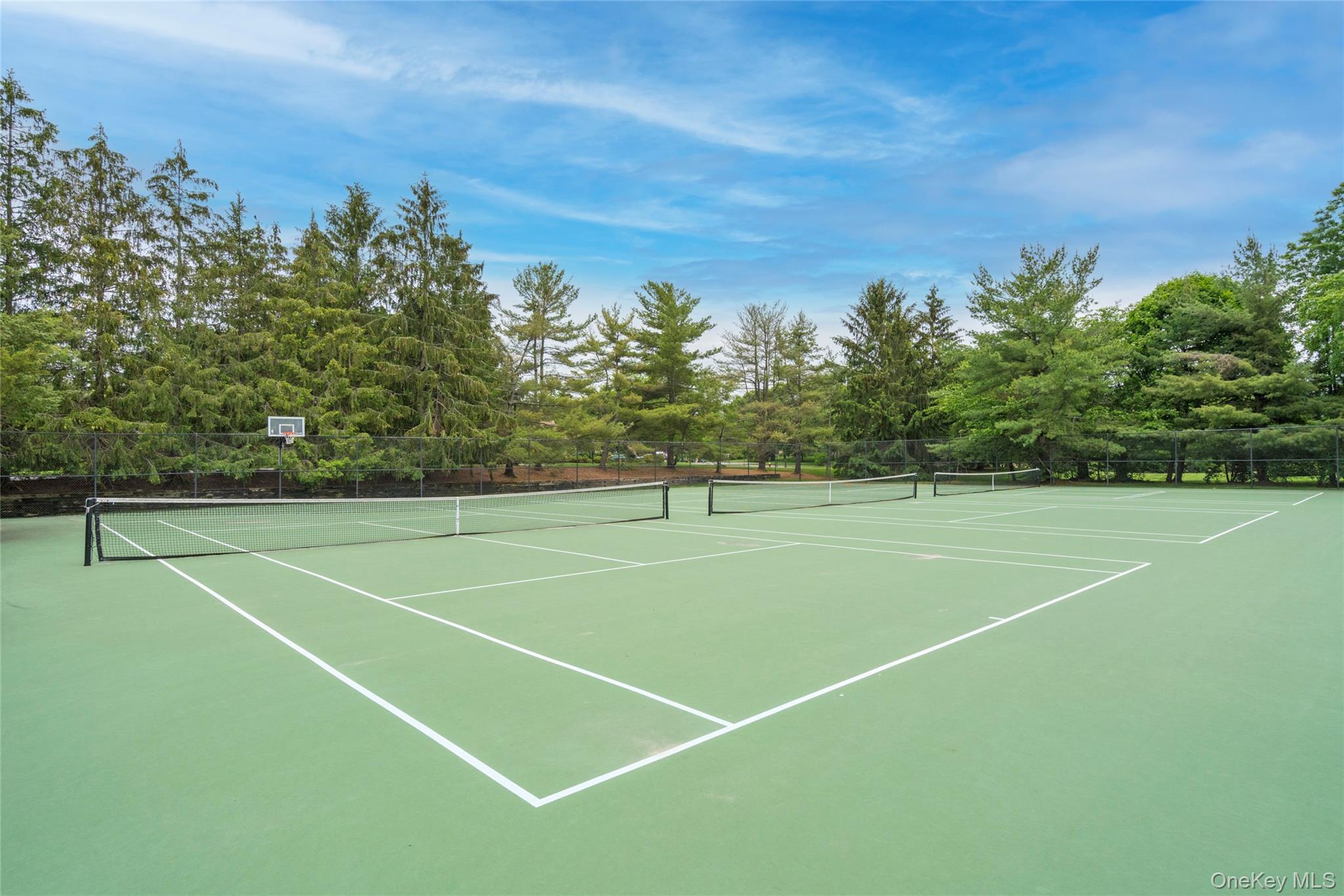 Single Family Baltustrol Circle  Nassau County, NY 11576, MLS-1026067-48