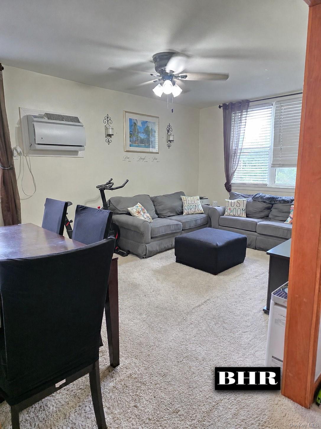 Coop Pearson Street Brooklyn, NY 11234, MLS-1026137-3