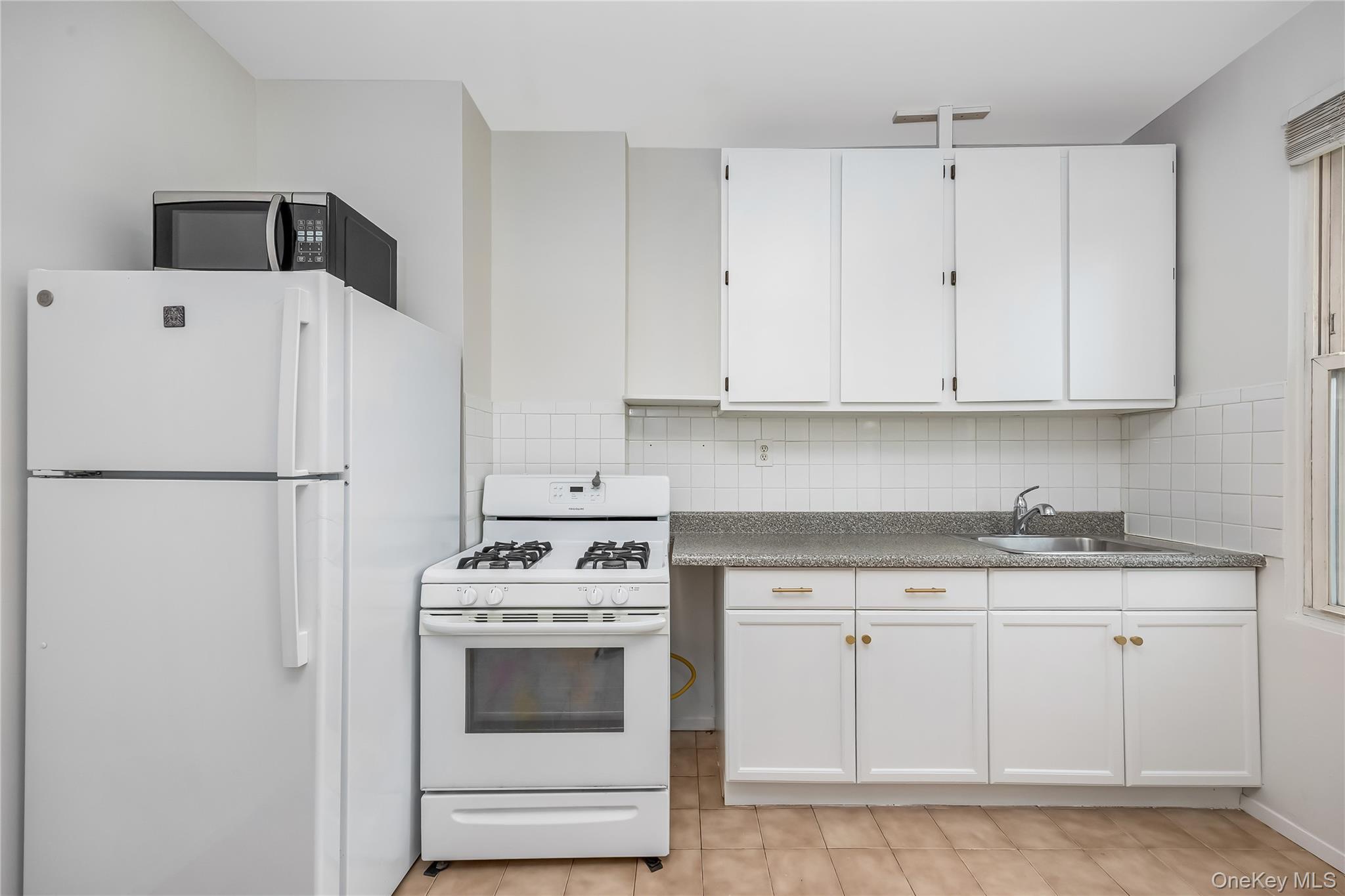 Single Family 126th Street Queens, NY 11356, MLS-1026173-29