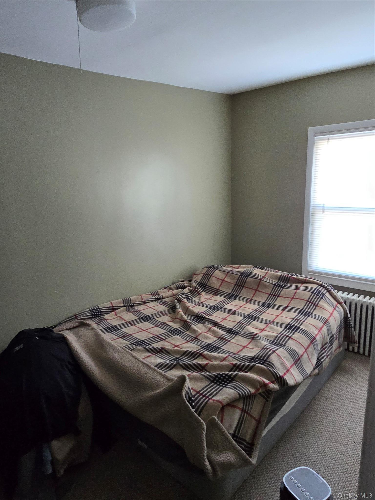 Single Family N Clover Street Dutchess County, NY 12601, MLS-1026212-35