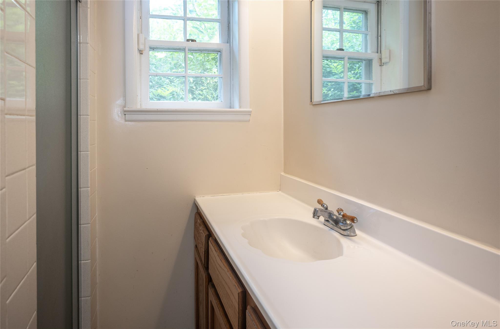 Single Family Marshall Road Dutchess County, NY 12578, MLS-1026244-26