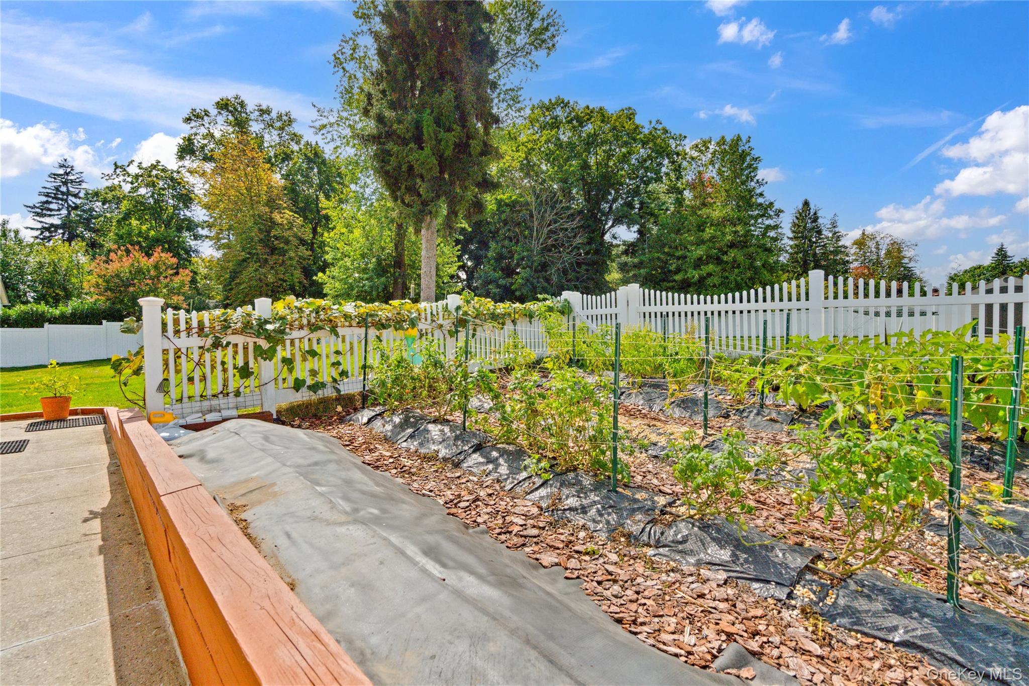 Single Family Wildwood Lane Nassau County, NY 11548, MLS-1026272-34