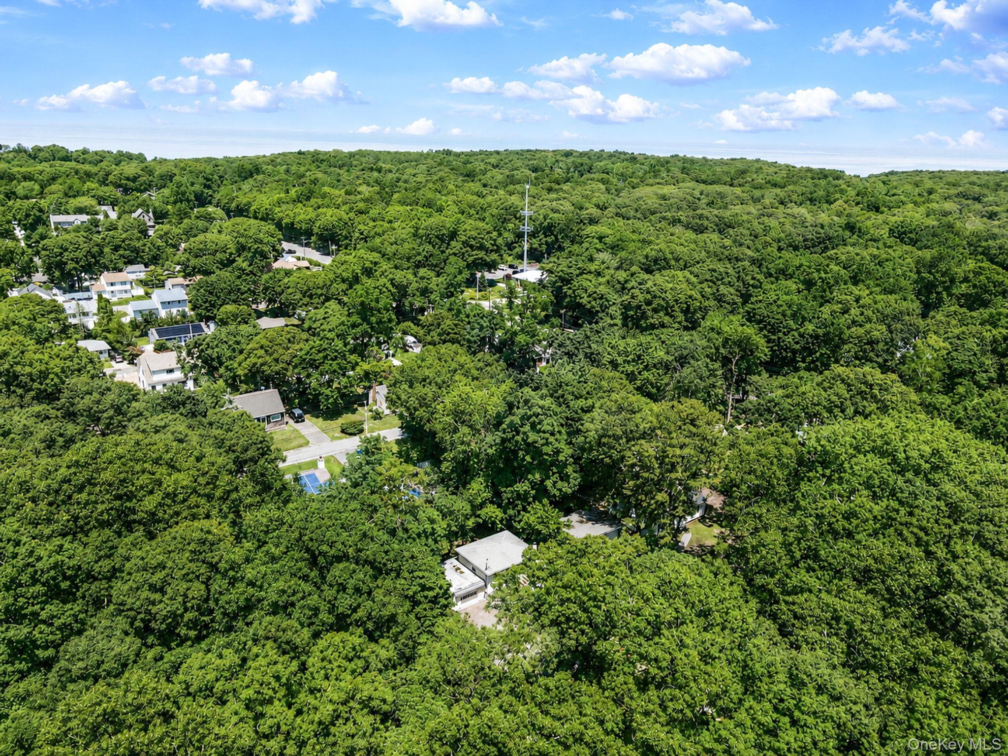 Single Family 21st Street  Suffolk County, NY 11792, MLS-1026277-29
