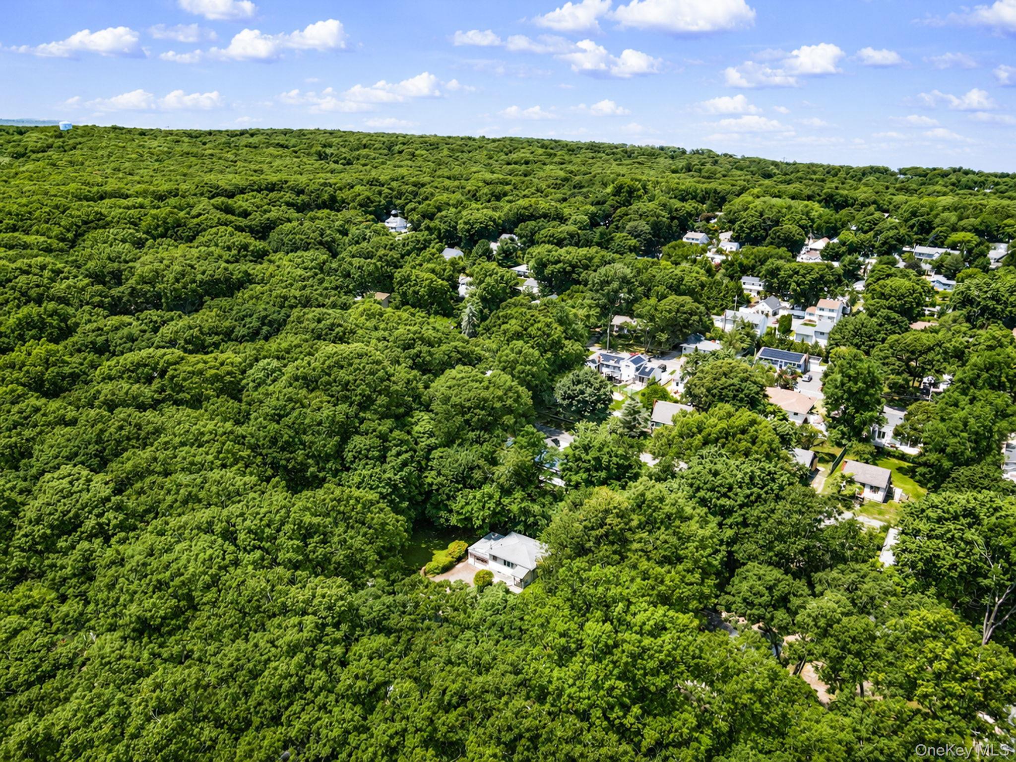 Single Family 21st Street  Suffolk County, NY 11792, MLS-1026277-30