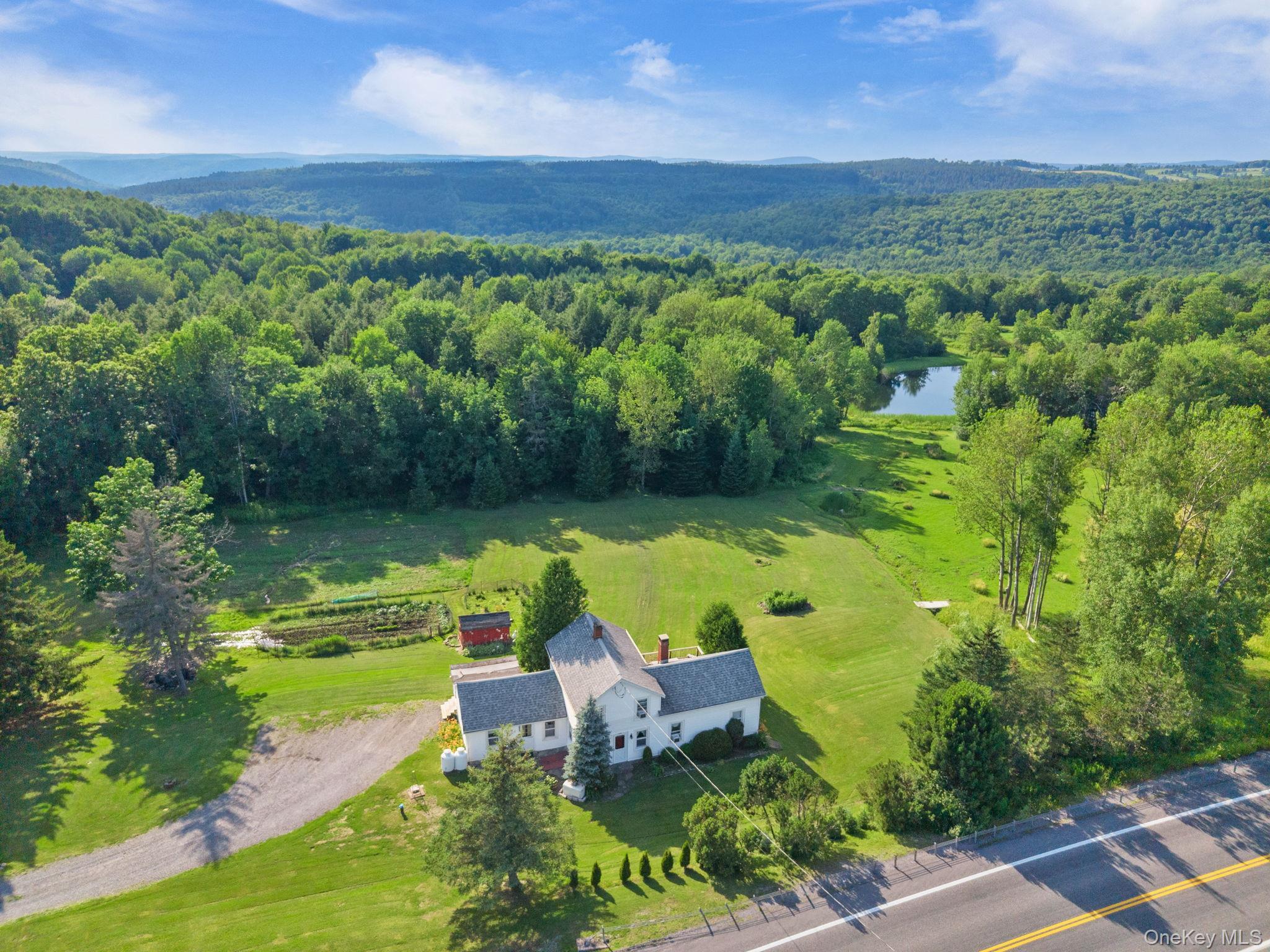 Single Family State Route 10 Route Out Of Area, NY 12093, MLS-1026360-3