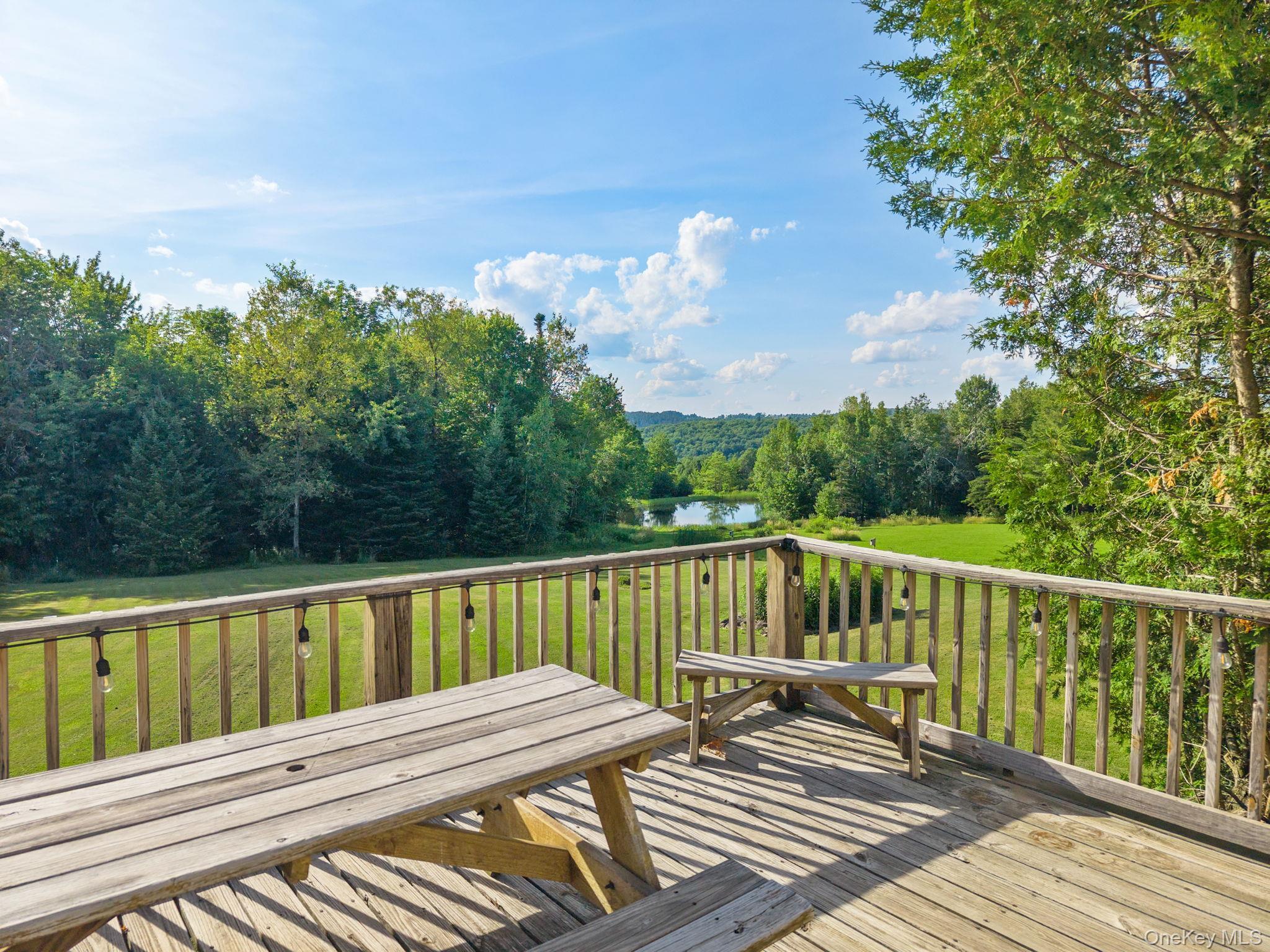 Single Family State Route 10 Route Out Of Area, NY 12093, MLS-1026360-39