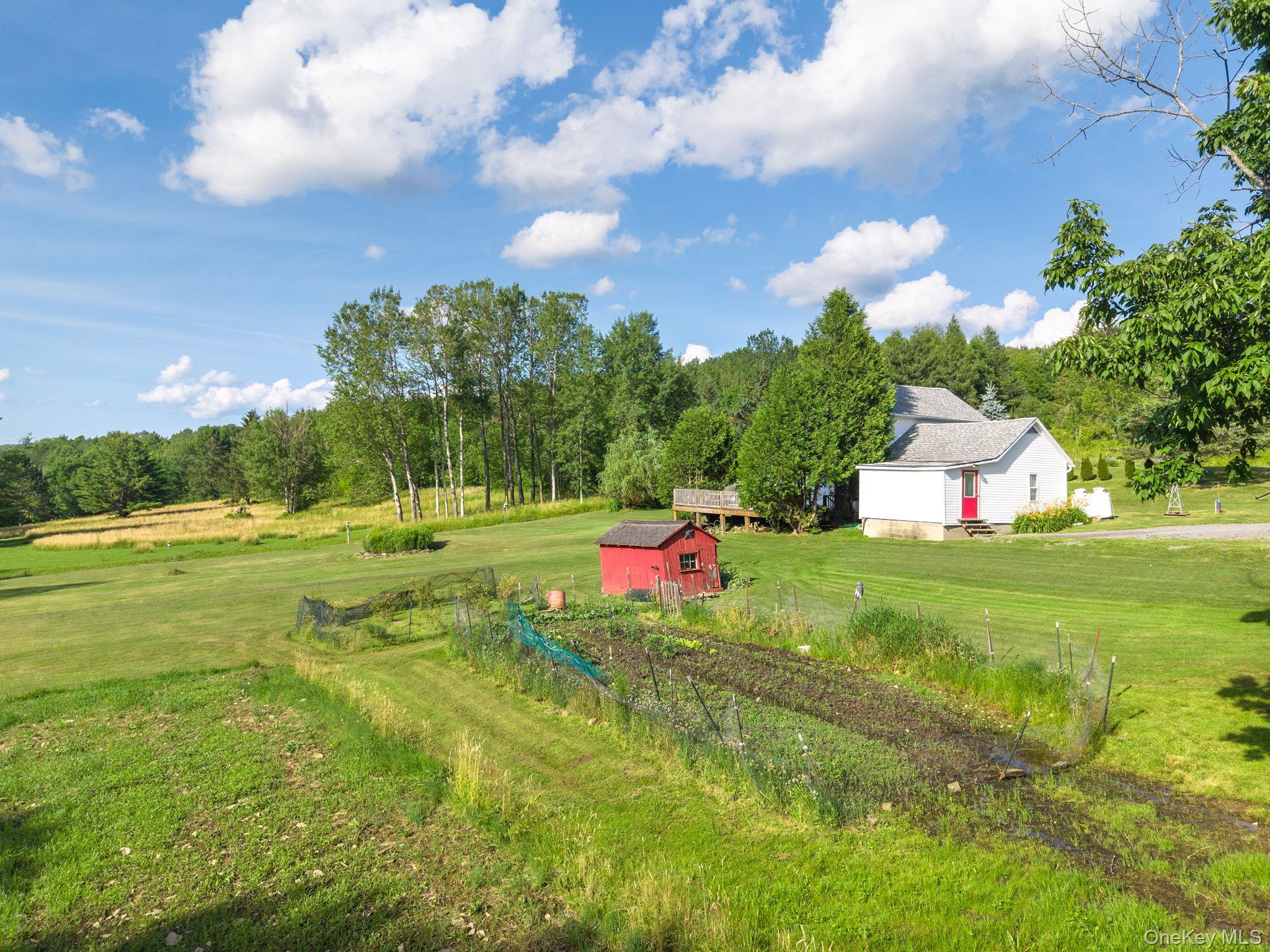 Single Family State Route 10 Route Out Of Area, NY 12093, MLS-1026360-40