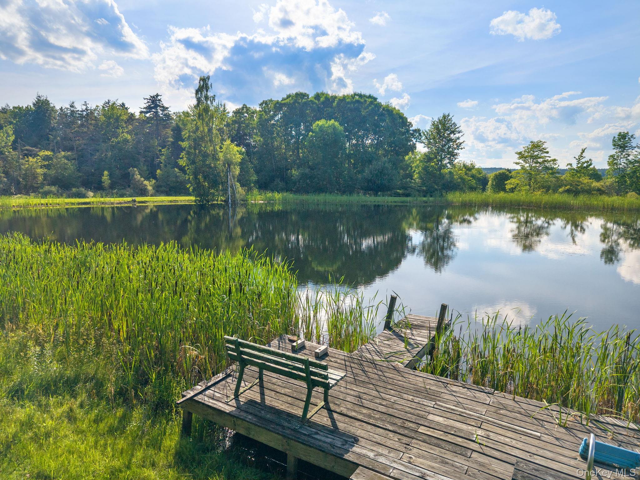 Single Family State Route 10 Route Out Of Area, NY 12093, MLS-1026360-43
