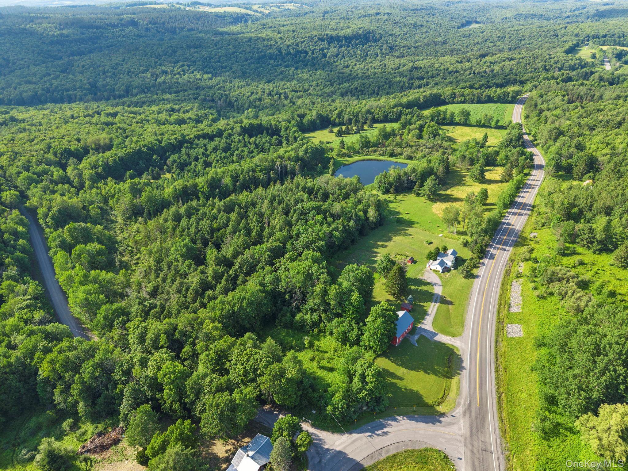 Single Family State Route 10 Route Out Of Area, NY 12093, MLS-1026360-47