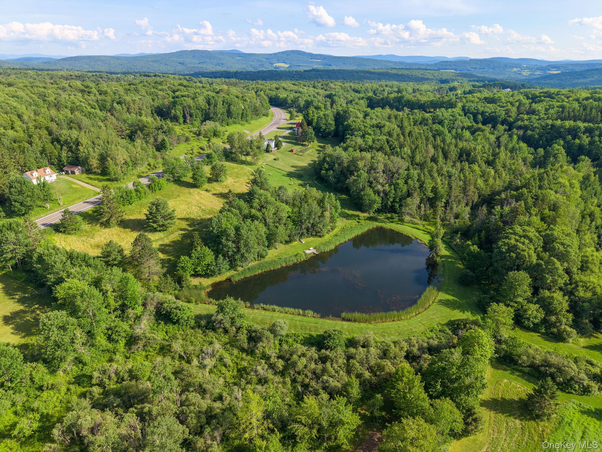 Single Family State Route 10 Route Out Of Area, NY 12093, MLS-1026360-48