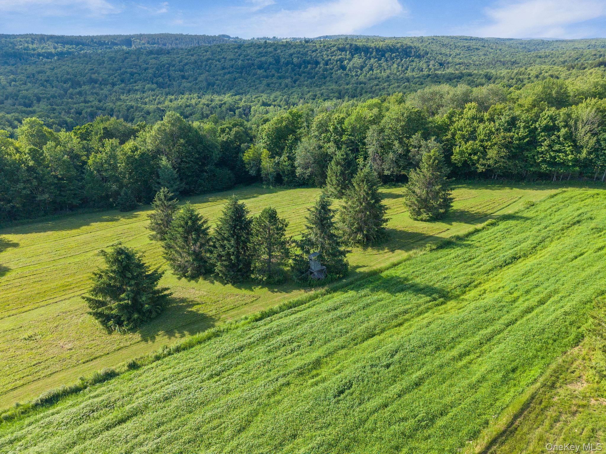 Single Family State Route 10 Route  Out Of Area, NY 12093, MLS-1026360-50
