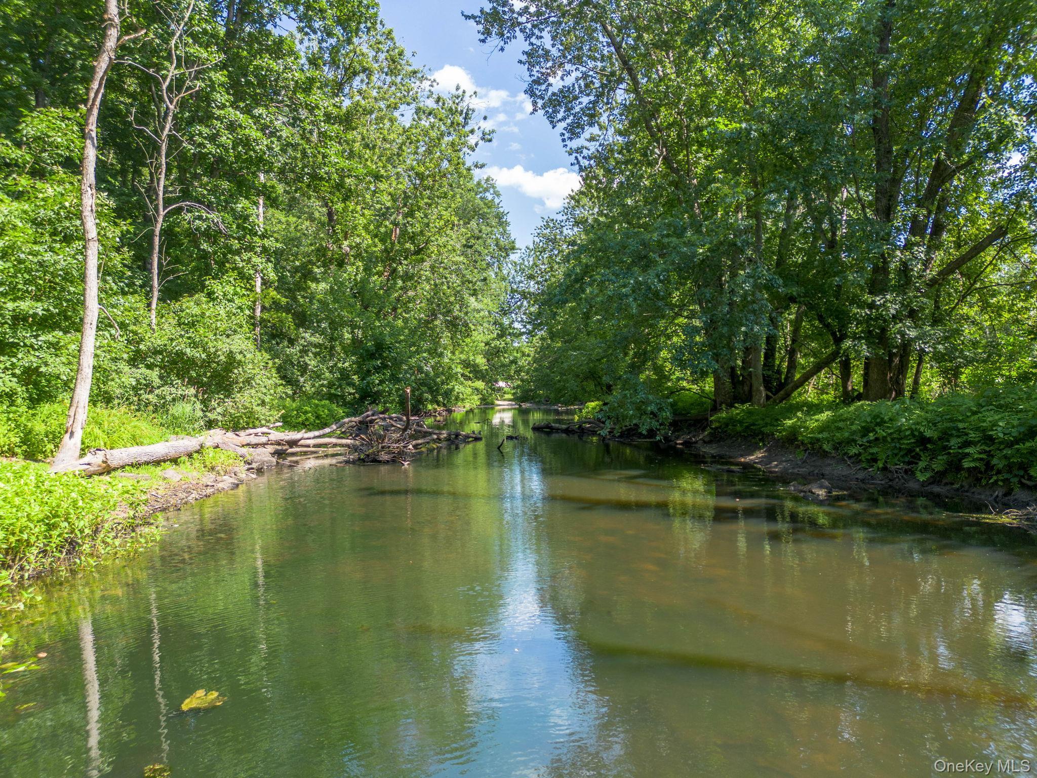 Single Family River Road Putnam County, NY 10509, MLS-1026366-5