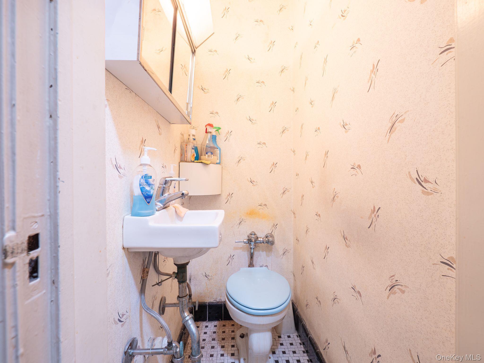 Single Family 67th Avenue Queens, NY 11374, MLS-1026384-8