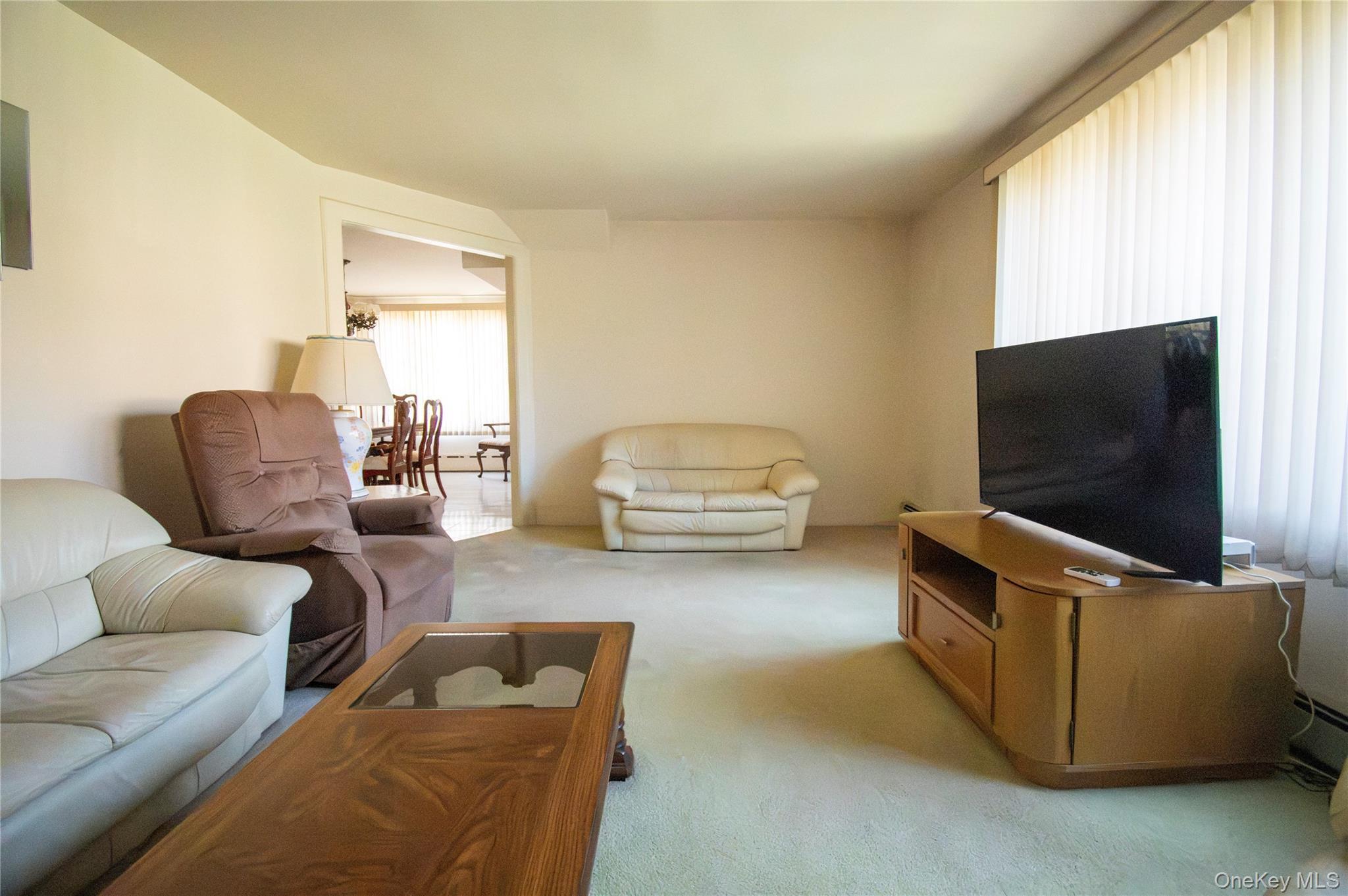 Single Family Gale Avenue Nassau County, NY 11510, MLS-1026423-11