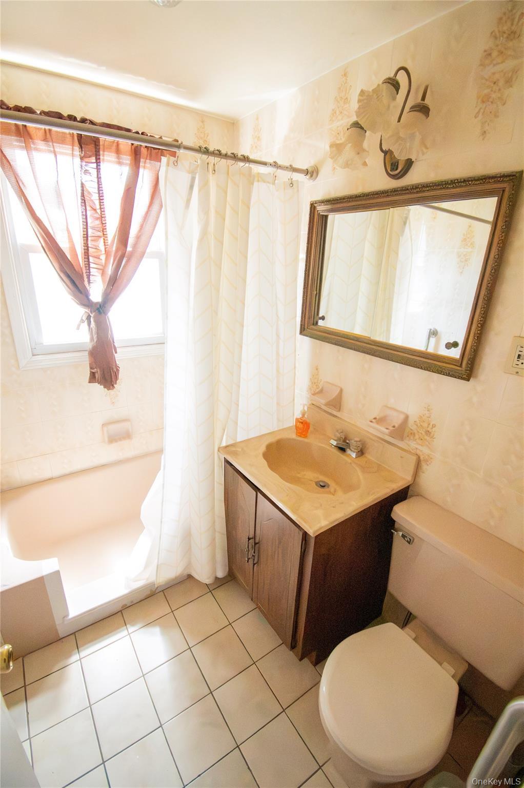 Single Family Gale Avenue Nassau County, NY 11510, MLS-1026423-21