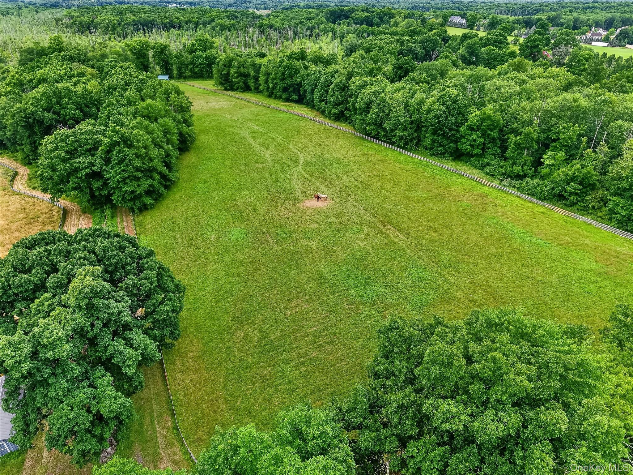 Single Family Collabar Road Orange County, NY 12549, MLS-1026440-39