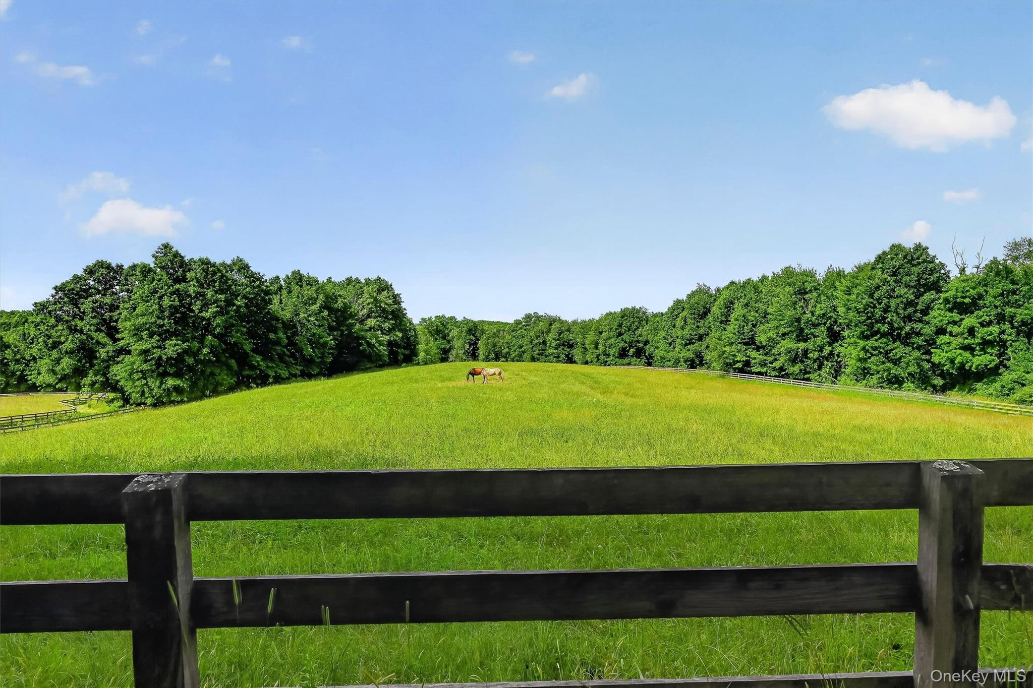 Single Family Collabar Road Orange County, NY 12549, MLS-1026440-40